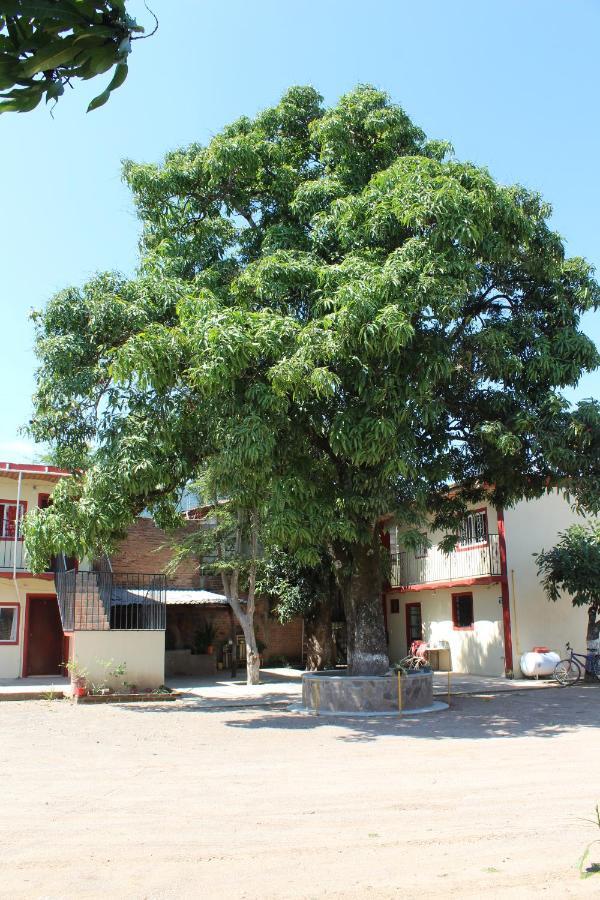 Hotel Meson La Huerta Mascota Exterior foto